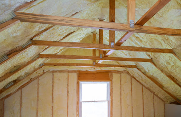 Best DIY Insulation Kits and Guidance in Iva, SC