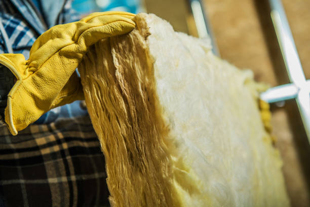 Best Geographic-Specific Insulation Services in Iva, SC
