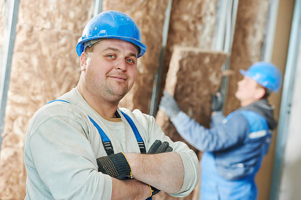 Best Commercial Insulation in Iva, SC