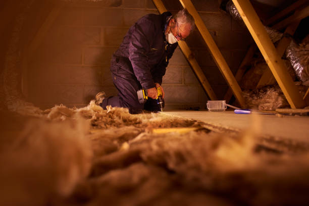 Best Specialized Insulation Services in Iva, SC